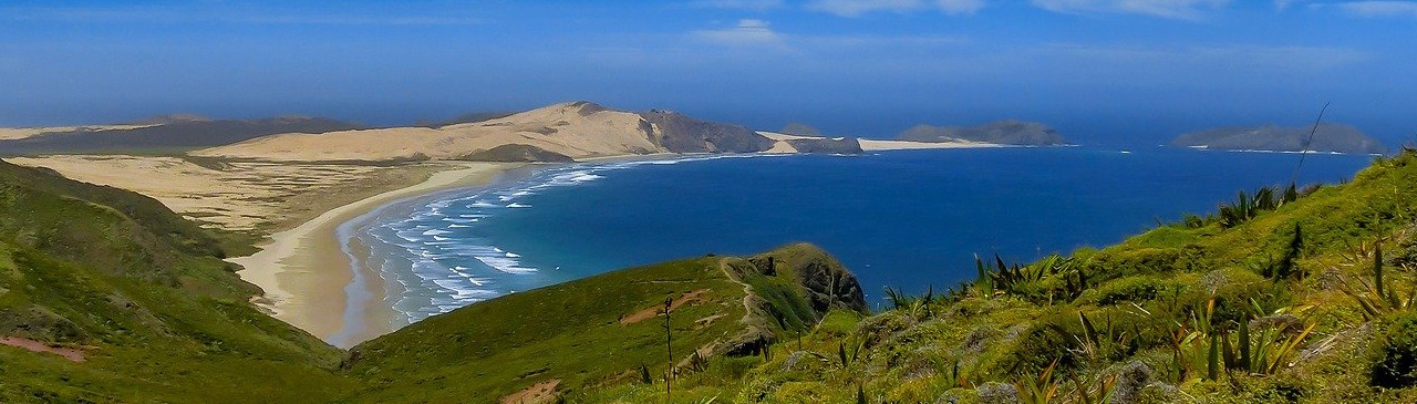 New Zealand Coast